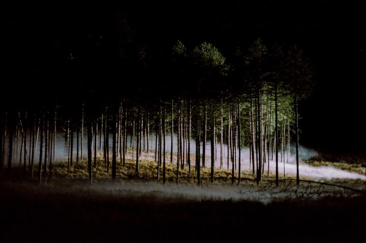 A forest at night is illuminated by a light source that creates fog and shadows among the trees.