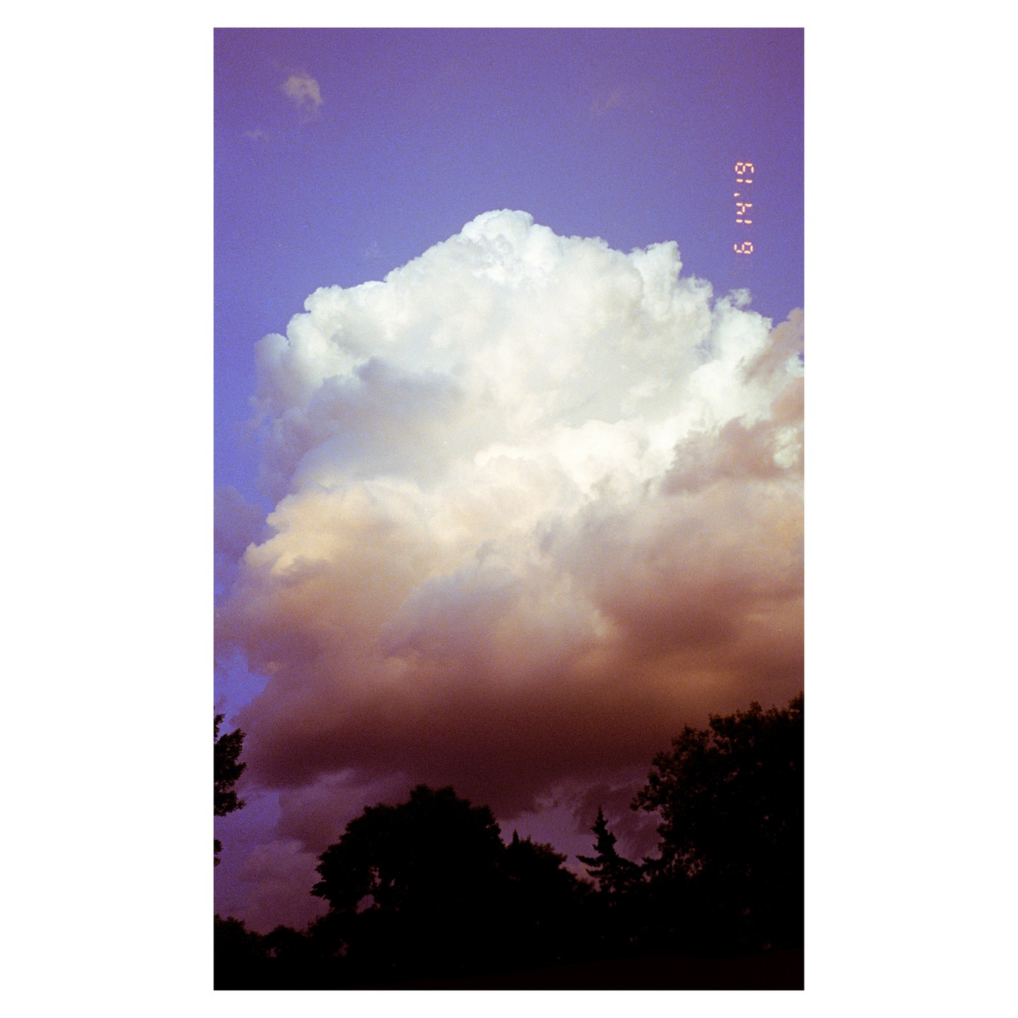 A large cloud formation with dark undersides is visible against a purple sky above silhouetted treetops.