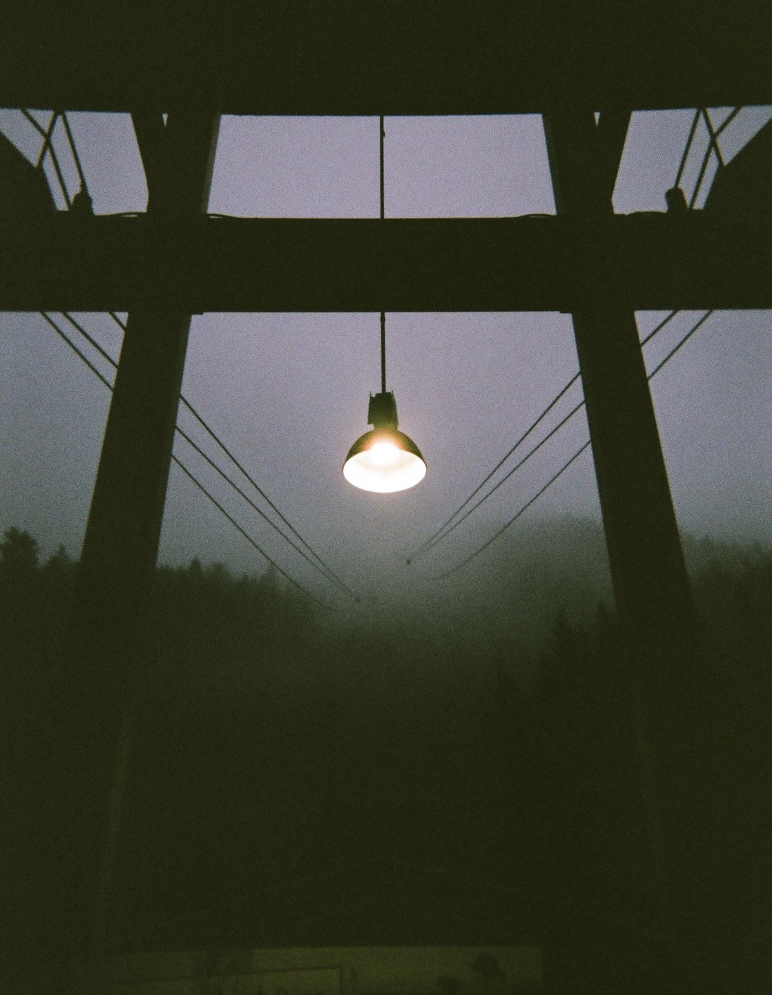 A single lightbulb hangs from a structure with cables extending into a foggy, tree-lined landscape.