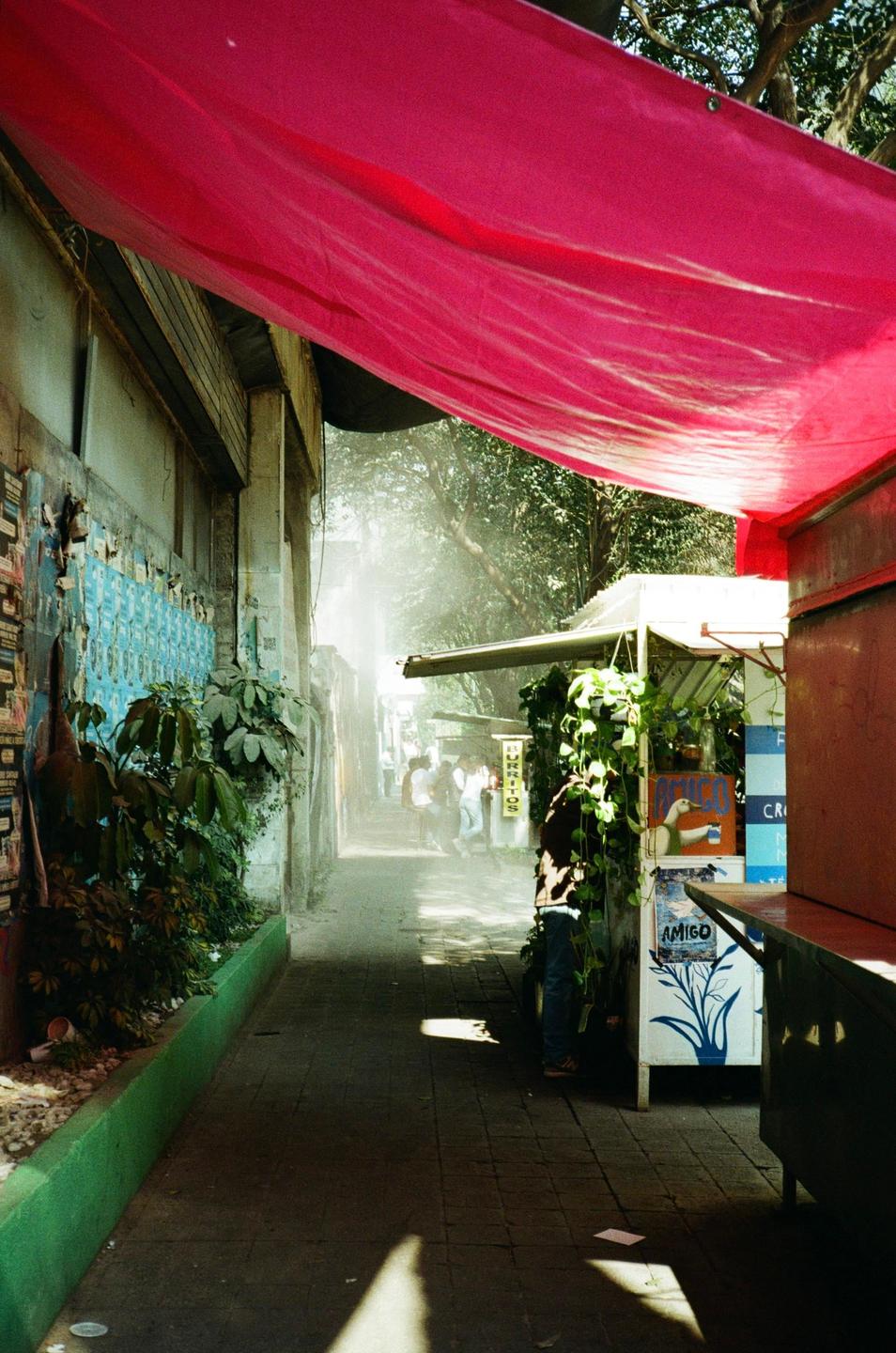 A narrow street in Mexico City is covered by a bright pink tarp, with people and food stalls visible in the distance.