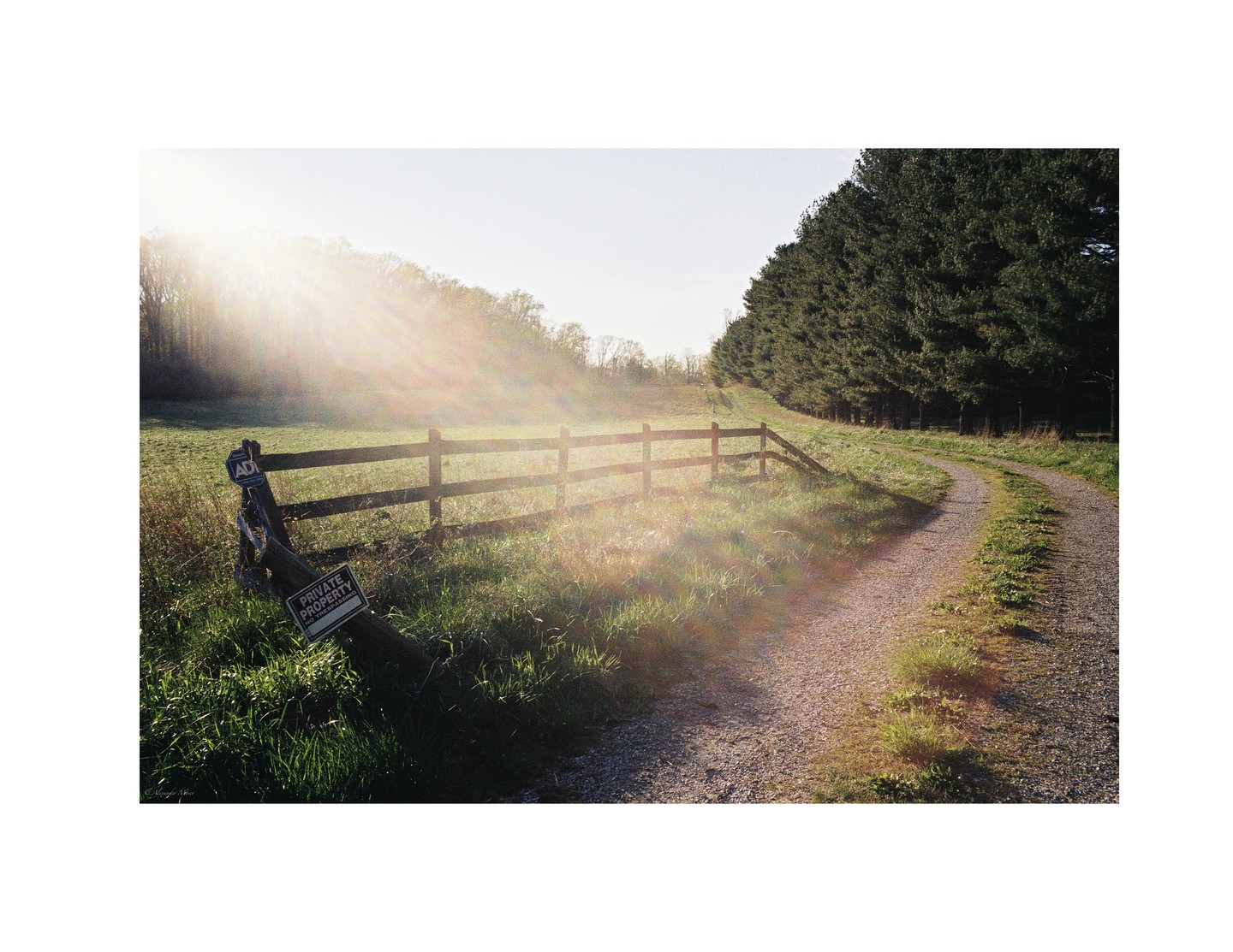 A gravel path curves past a wooden fence and a private property sign, leading towards a line of tall evergreen trees under a bright, hazy sky.