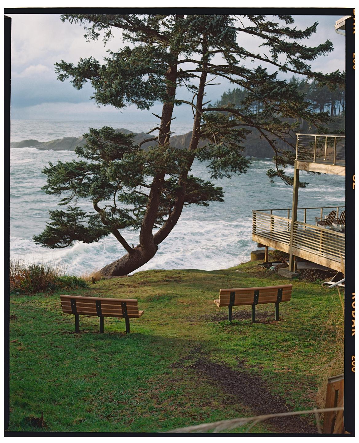 Two benches sit on a grassy cliff overlooking a turbulent ocean with a large tree and a wooden deck.