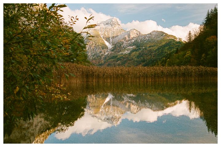 A snow-capped mountain reflects in a lake surrounded by tall reeds and trees.