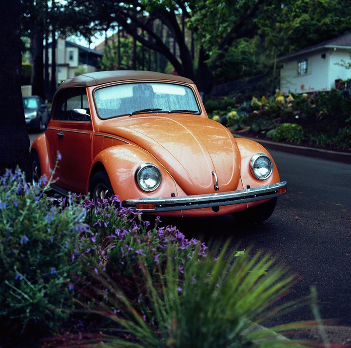 An orange Volkswagen Beetle is parked on a street next to purple flowers and green foliage.