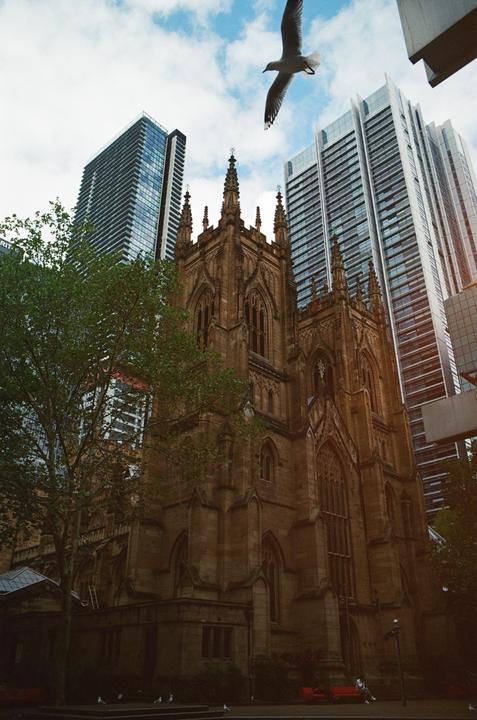 A bird flies over a gothic church with modern skyscrapers in the background.