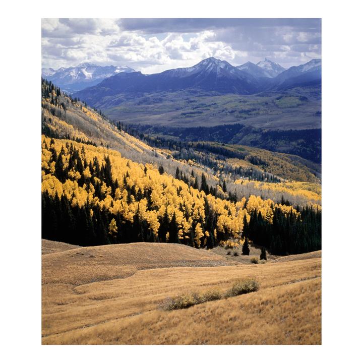 A mountain landscape features a hillside covered in golden autumn foliage and evergreen trees, with snow-capped peaks in the distance under a cloudy sky.
