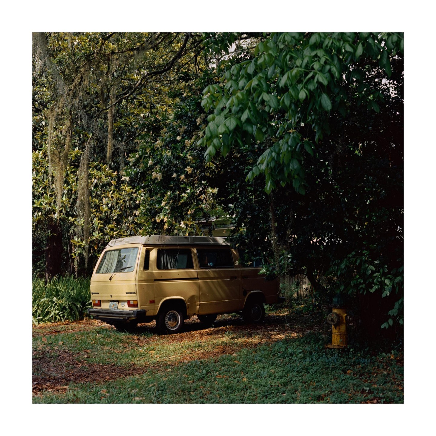 A yellow van is parked on a grassy area next to a fire hydrant, surrounded by trees and foliage.