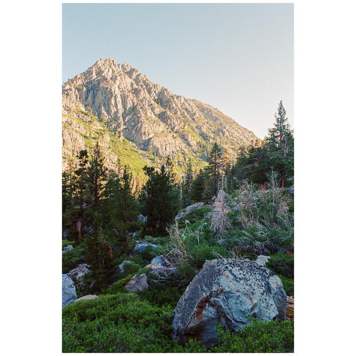 A rocky mountain peak rises above a forest of pine trees and green bushes.