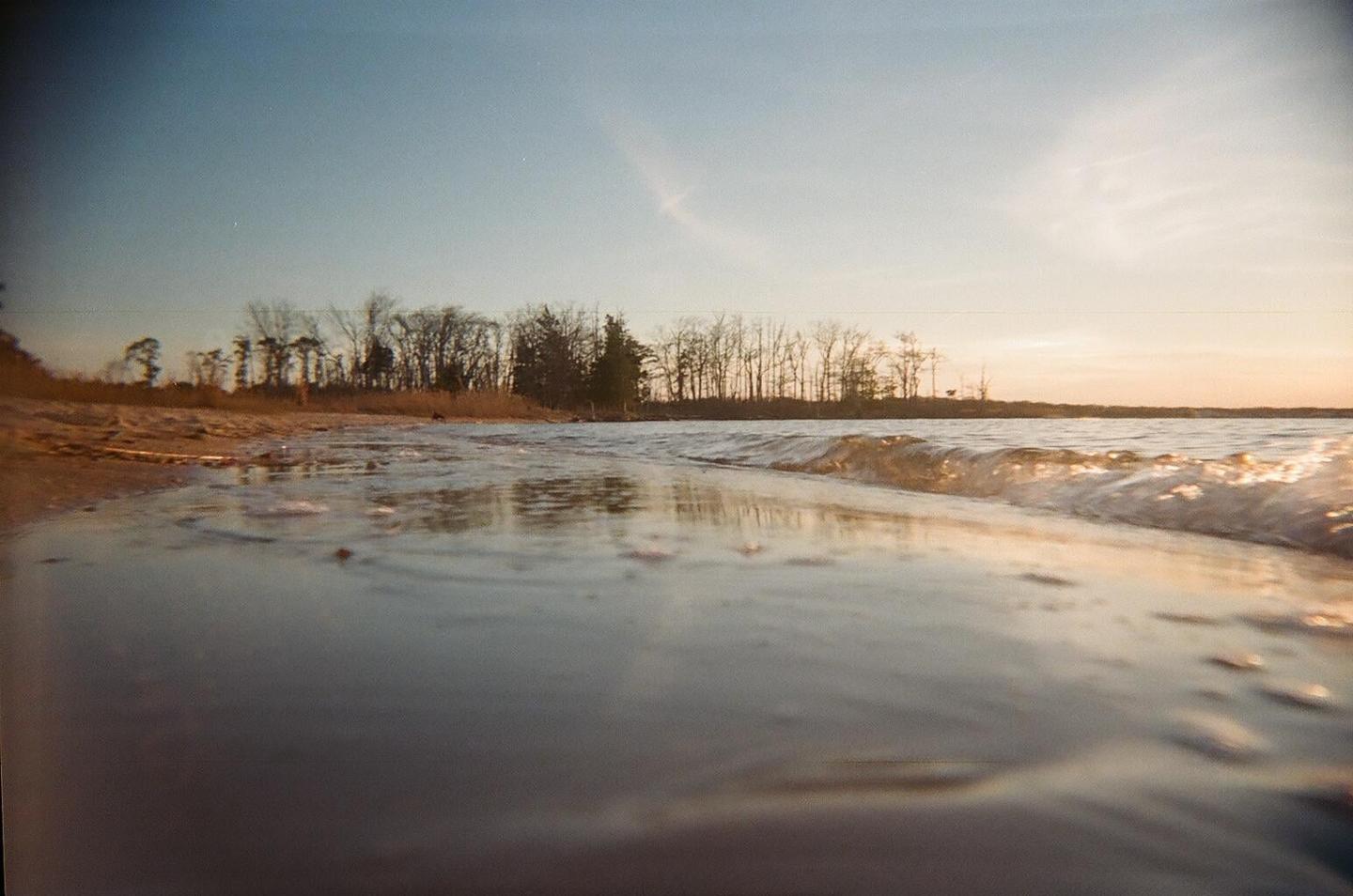 A low-angle view of a sandy beach with small waves breaking on the shore and a line of trees in the distance under a clear sky.