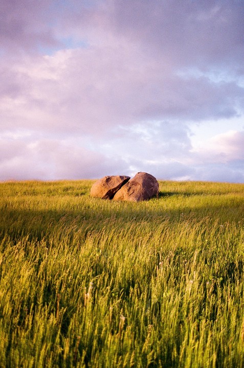 Two large boulders sit in a field of tall grass under a cloudy sky.