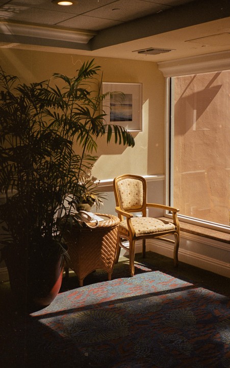 Sunlight streams into a room, illuminating a potted plant, a wicker table with a telephone, and an ornate chair next to a large window.