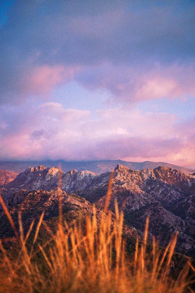 Golden grass in the foreground frames a mountain range under a purple and pink sky.