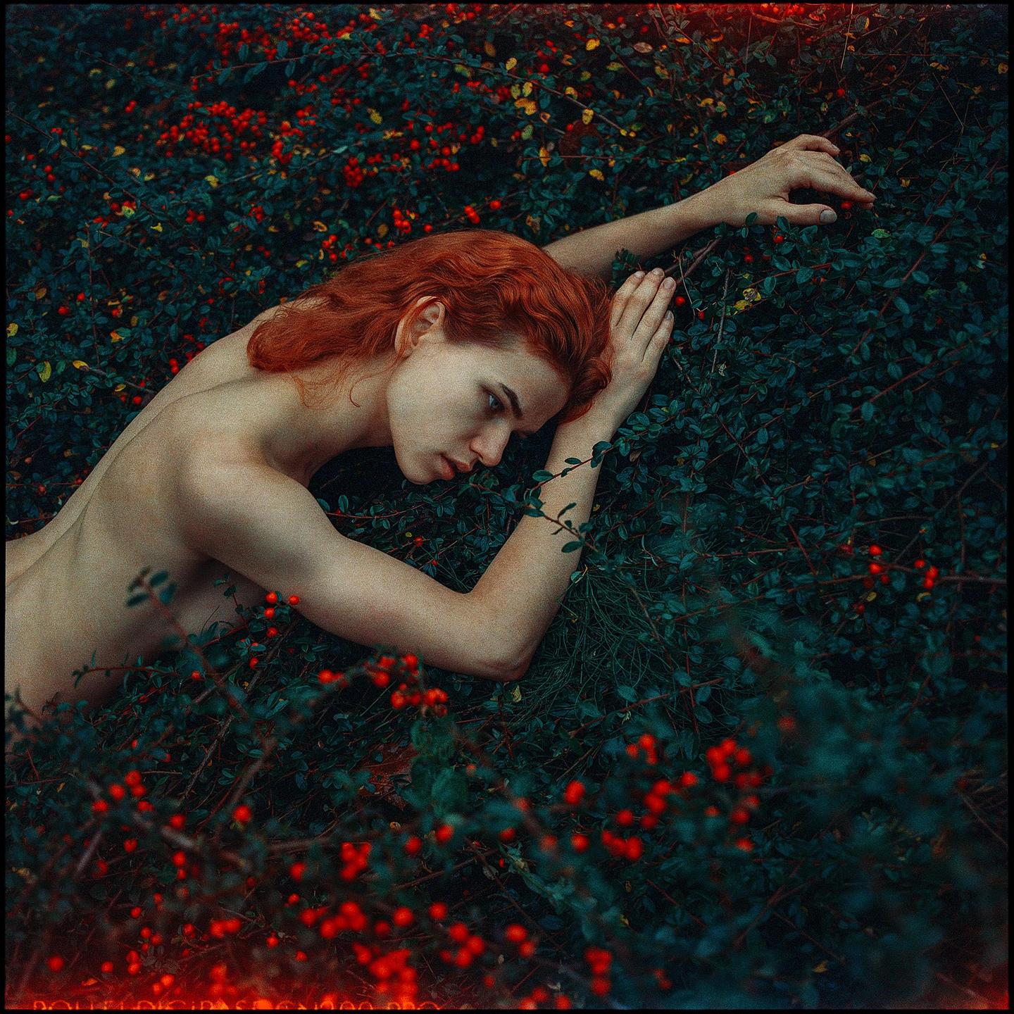 A person with red hair lies topless in a bush with red berries.
