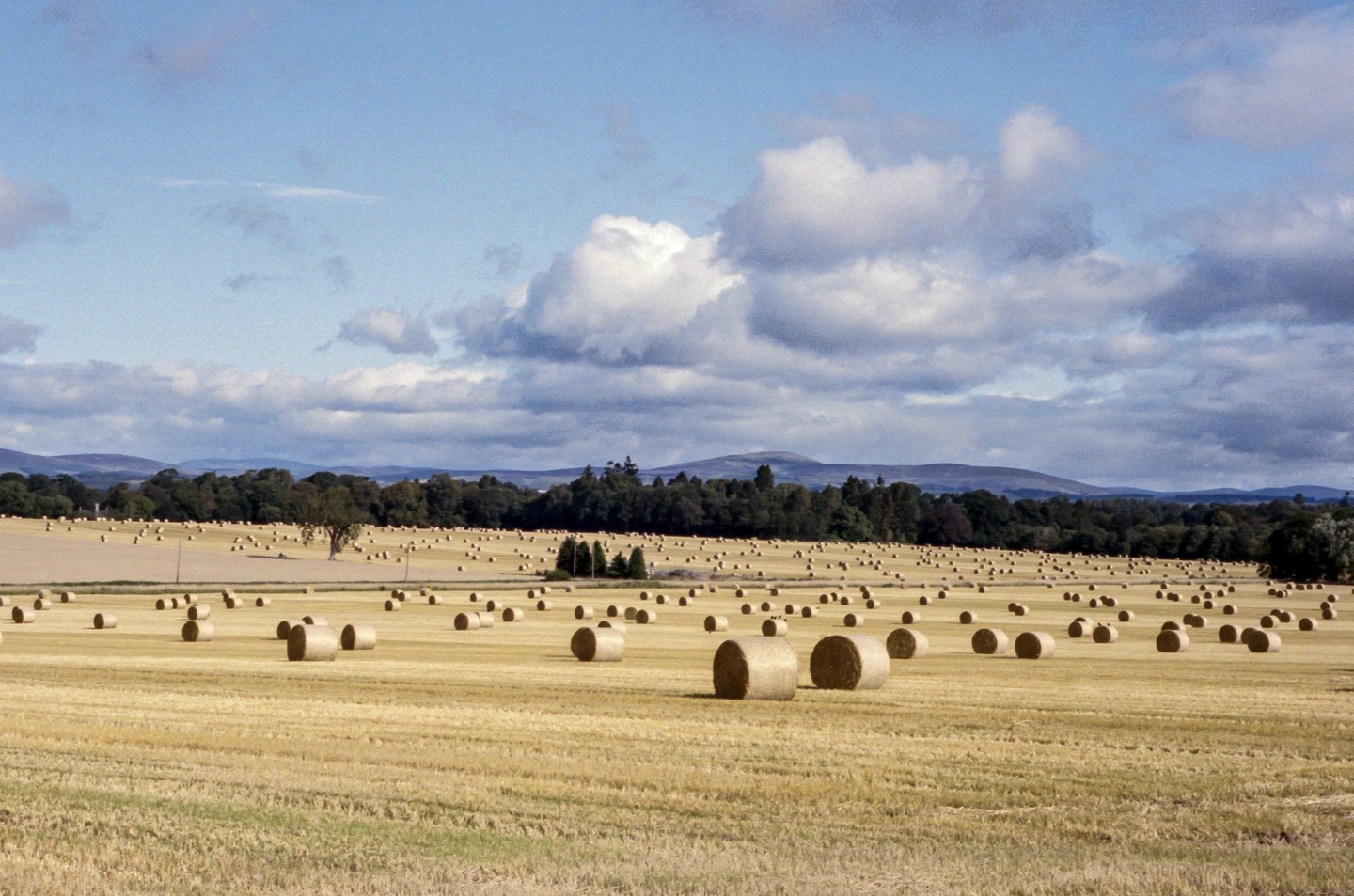 A field of hay bales stretches towards a line of trees and distant hills under a partly cloudy sky.