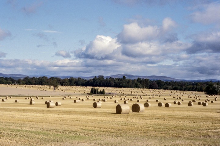 A field of hay bales stretches towards a line of trees and distant hills under a partly cloudy sky.