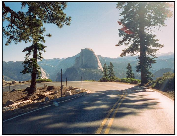 A winding road leads to Half Dome in Yosemite National Park, framed by two tall pine trees.