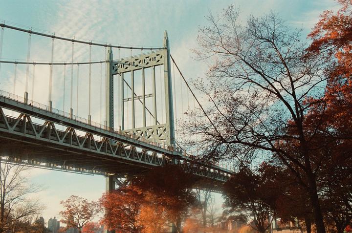A large suspension bridge is visible from below, surrounded by trees with autumn foliage.