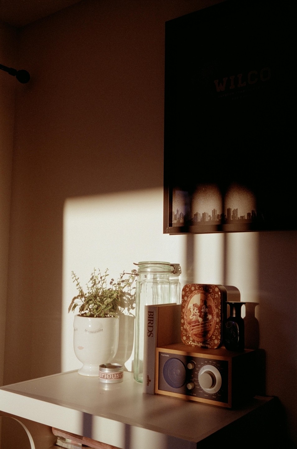 Sunlight streams across a shelf holding a potted plant, a glass jar, a radio, and a framed picture of a city skyline.