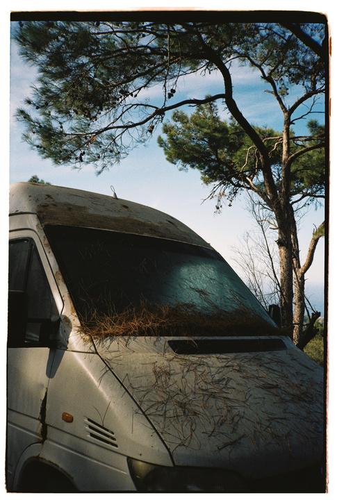 A white van covered in pine needles is parked under a large pine tree.
