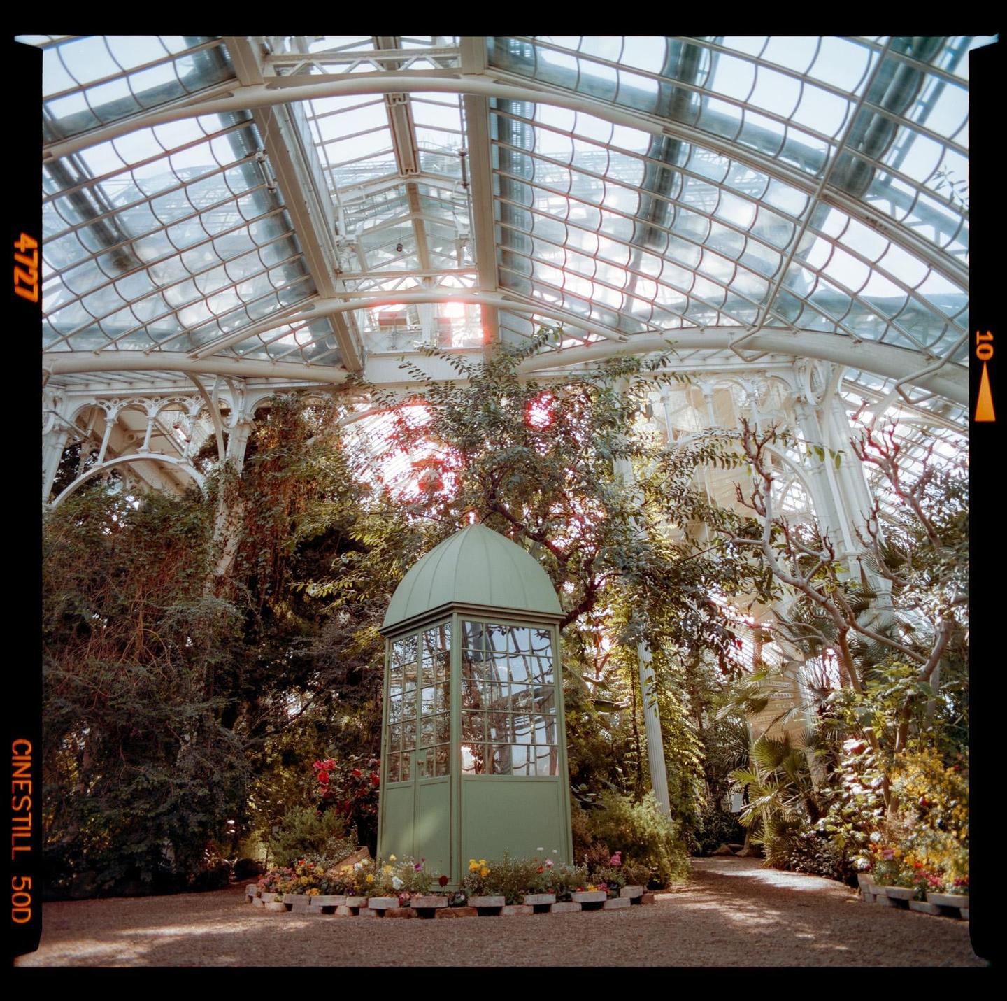A small green structure stands amidst lush foliage under a large glass and metal greenhouse roof.