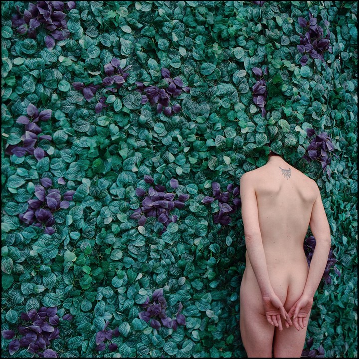 A nude woman stands with her back to the viewer, facing a wall of green and purple leaves.
