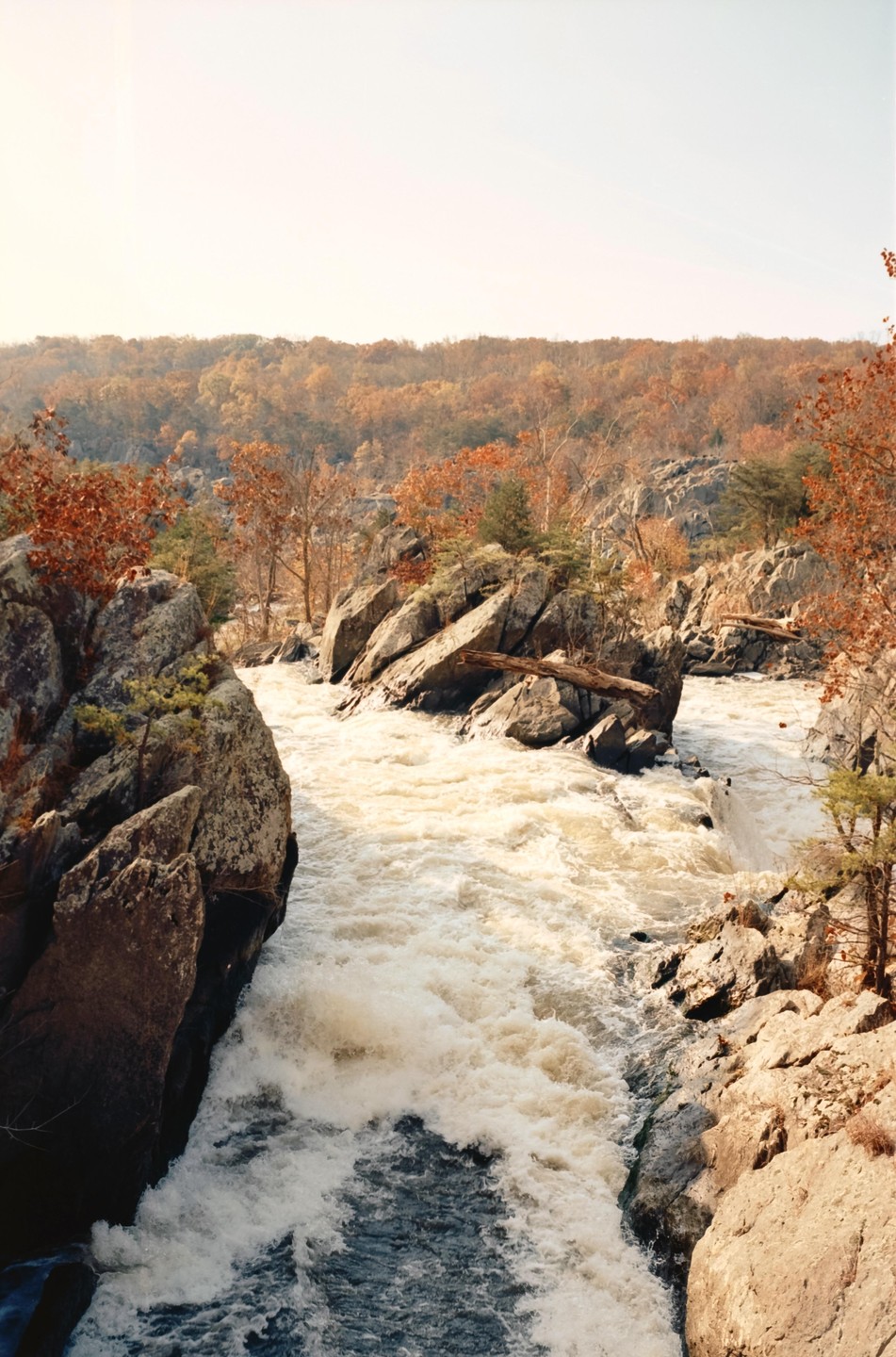 A river with rapids flows between rocky banks with autumn trees in the background.