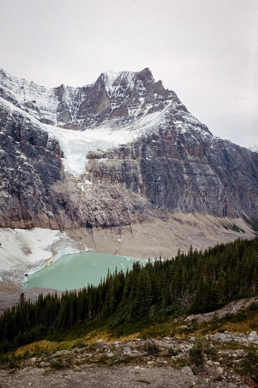 A glacial lake with icebergs is nestled at the base of a snow-capped mountain with a forest in the foreground.