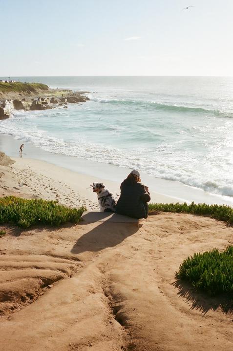 A woman and her dog sit on a cliff overlooking a beach with waves crashing on the shore.