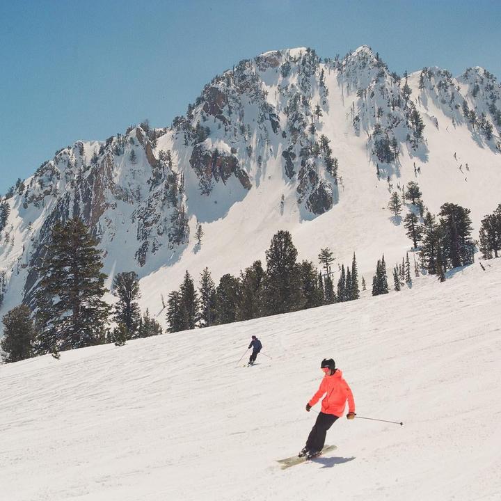 Two skiers descend a snowy mountain slope with pine trees and a large mountain in the background.