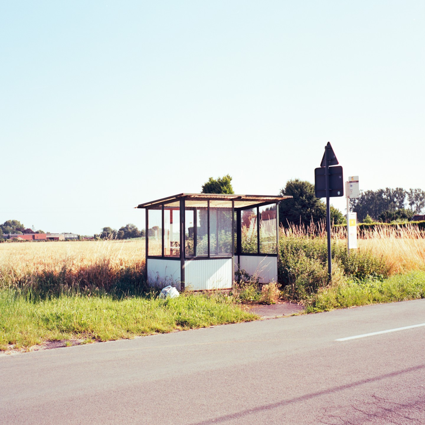 A bus stop shelter stands beside a road with a field of tall grass and trees in the background.