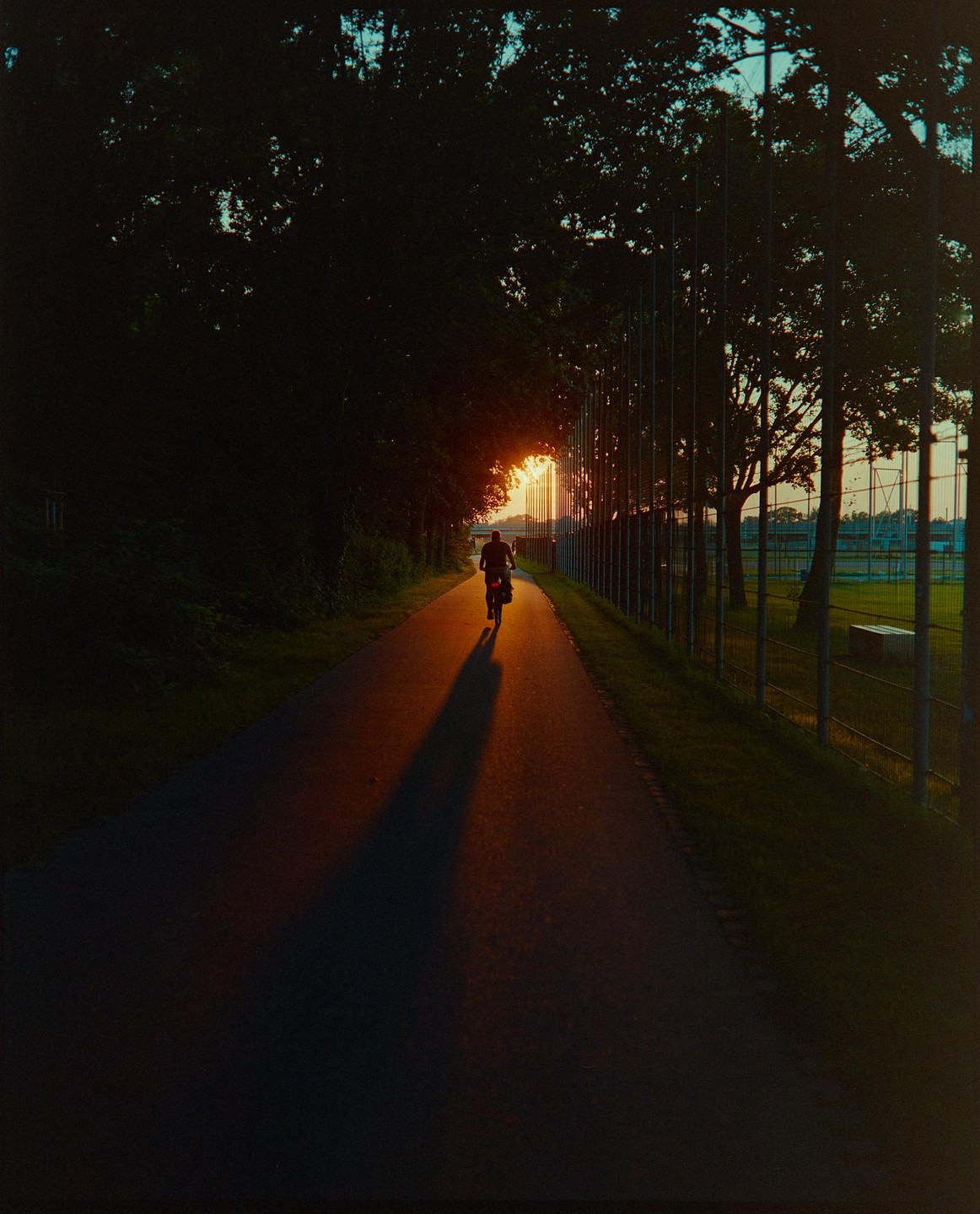 A person on a bicycle rides down a path with a long shadow stretching out in front of them as the sun sets in the distance.