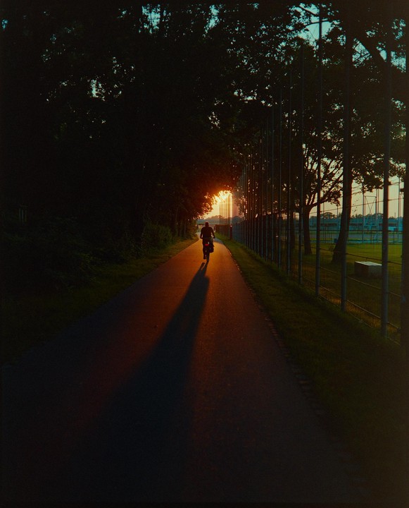 A person on a bicycle rides down a path with a long shadow stretching out in front of them as the sun sets in the distance.