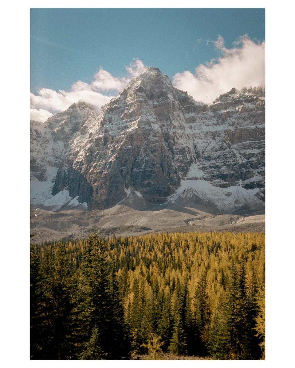 A forest of green and yellow trees sits below a snow-capped mountain range under a blue sky with clouds.