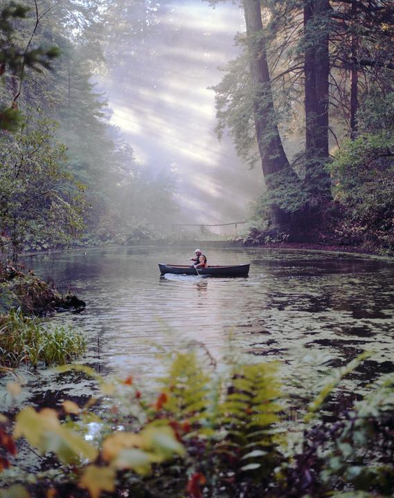 A man paddles a canoe on a misty lake surrounded by tall trees with sun rays shining through the fog.