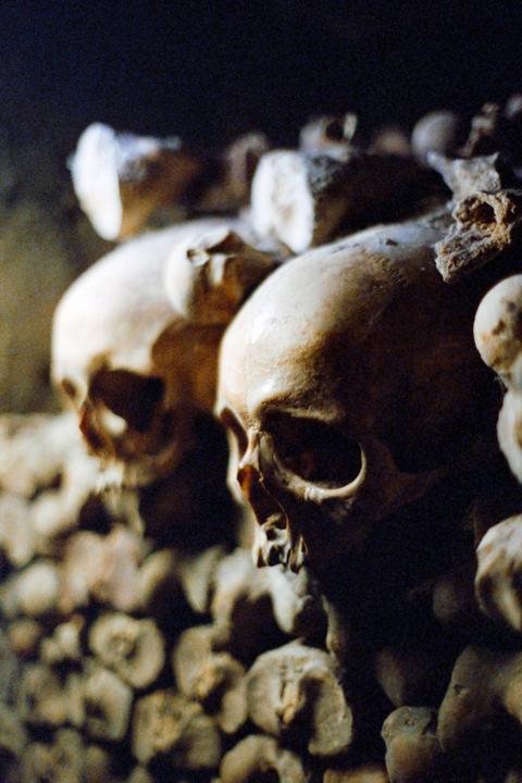 Two skulls are visible among many bones in a dark catacomb.