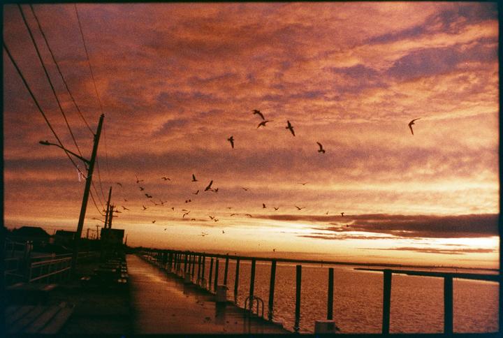 A flock of birds flies over a body of water next to a pier at sunset.