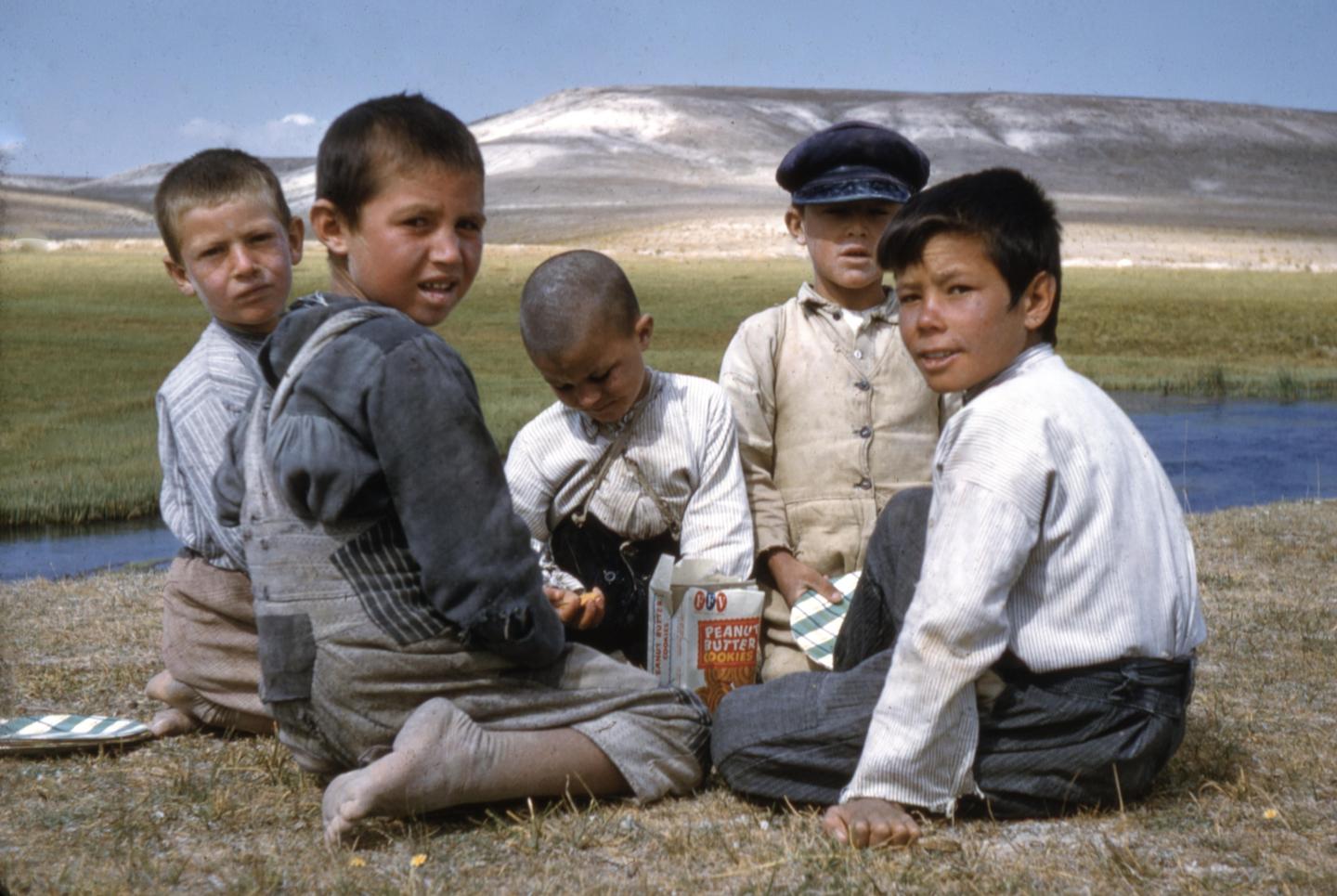 Five boys sit on the grass next to a stream with a box of peanut butter cookies.