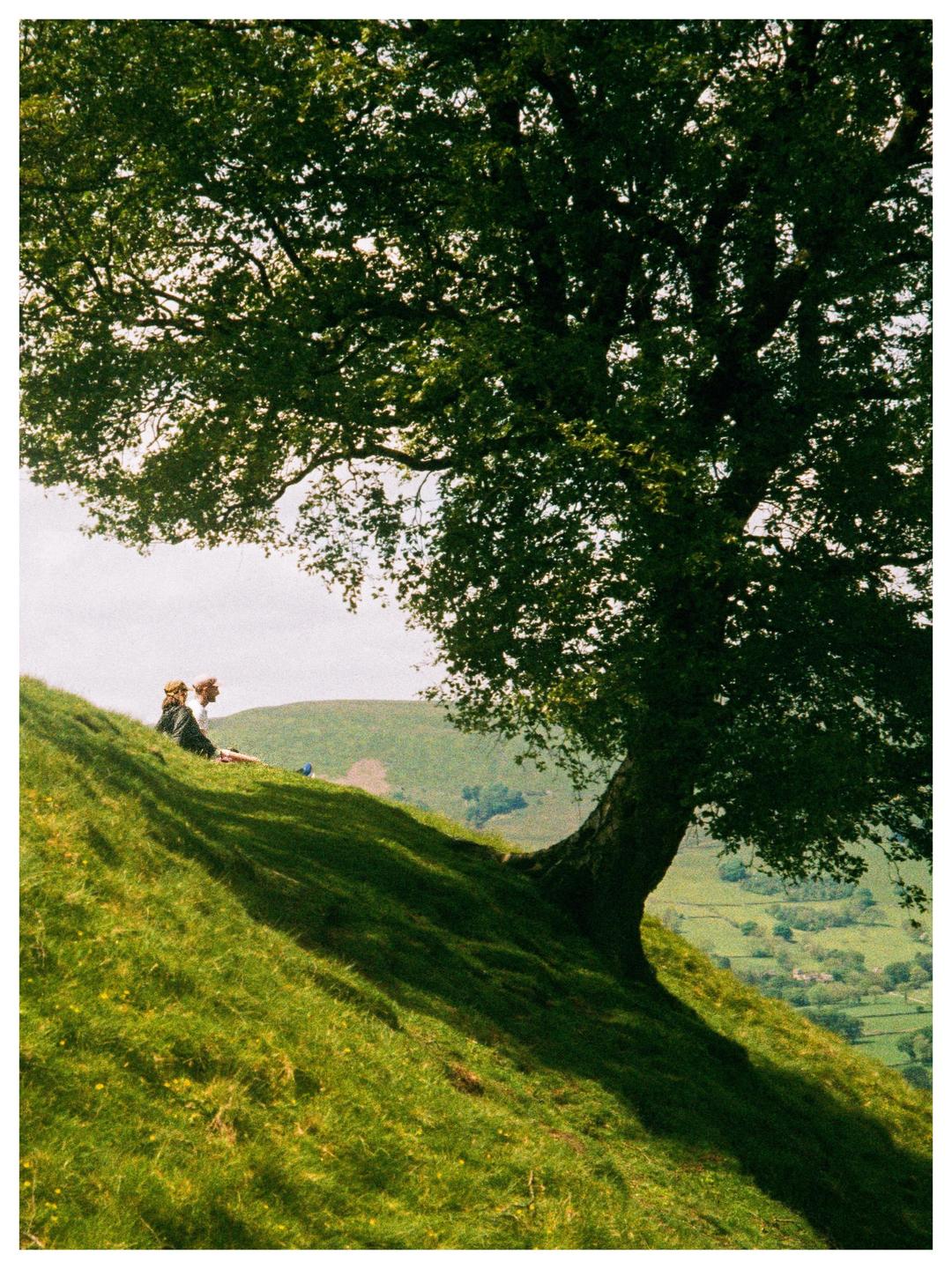Two people are sitting on a grassy hillside under a large tree, overlooking a valley.