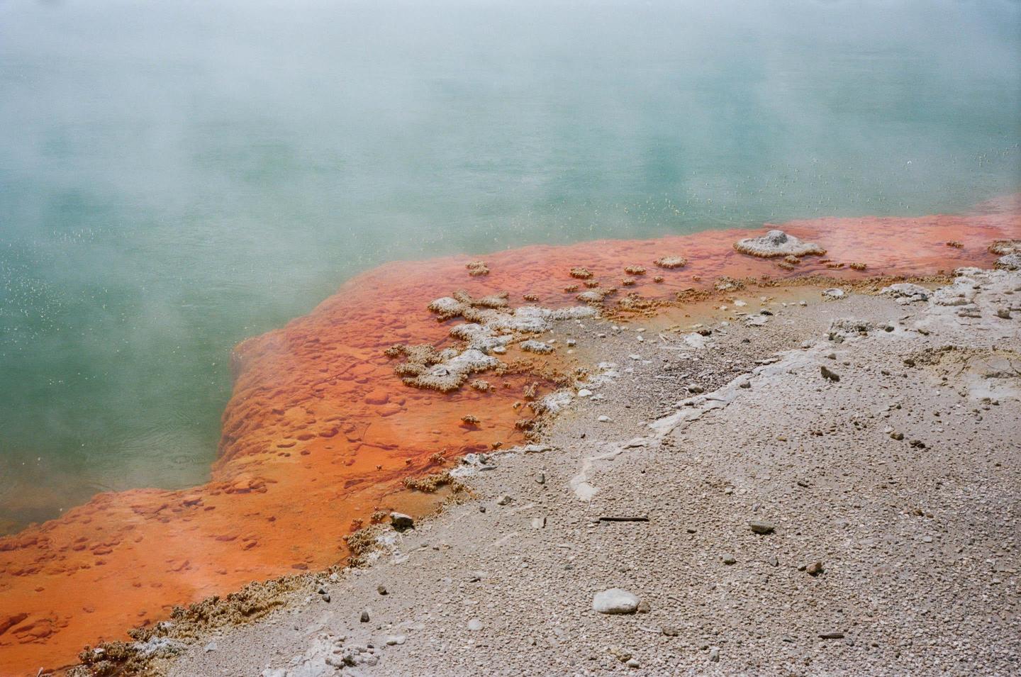 A body of water with steam rising from it meets a vibrant orange and white mineral deposit on the shore.