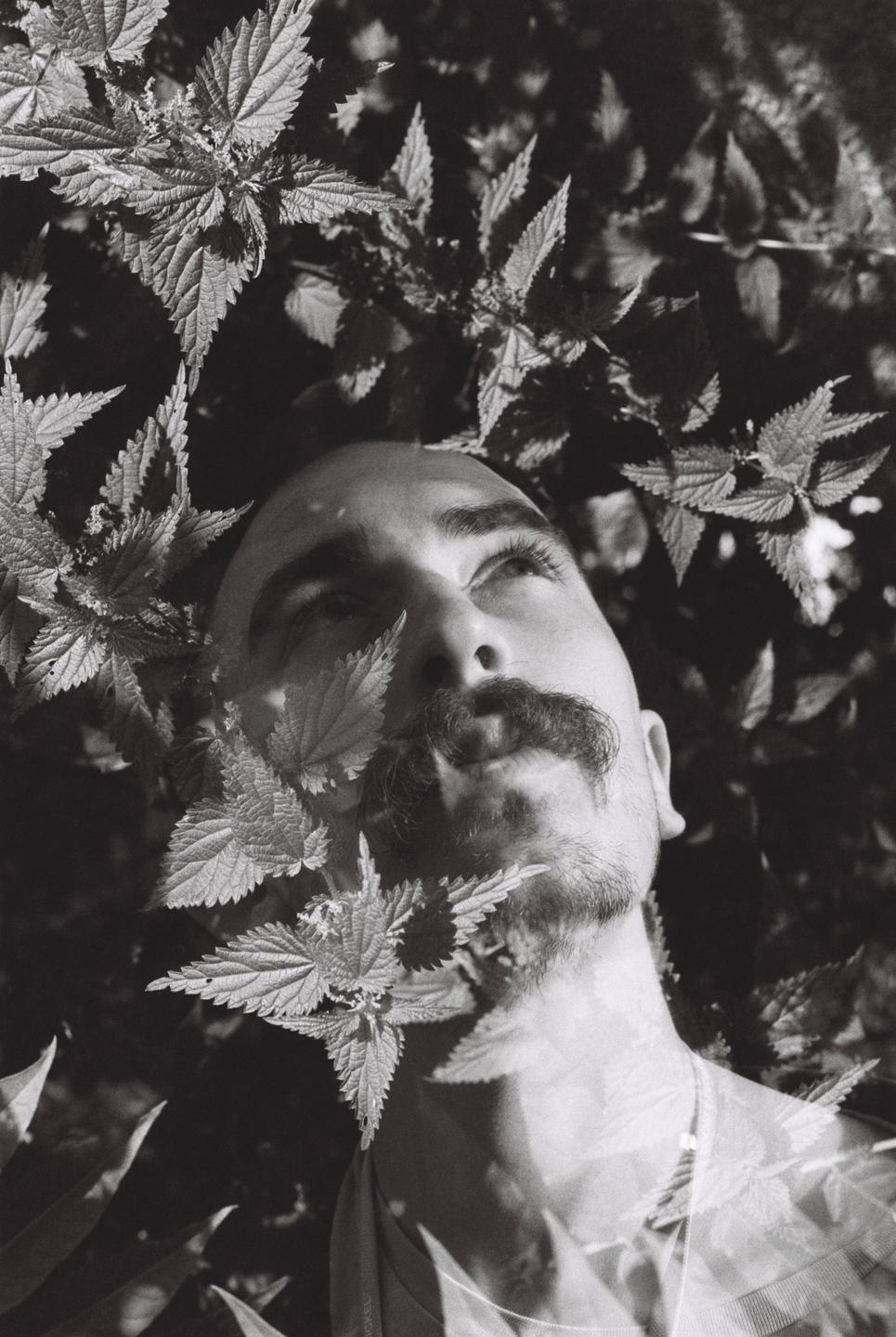 A man with a mustache and beard looks up, surrounded by leaves in a double exposure.