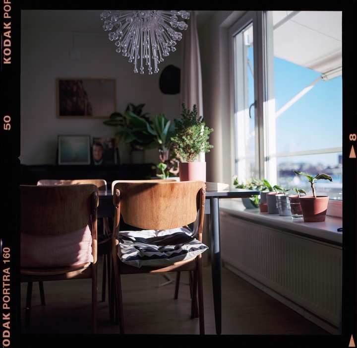 Sunlight streams into a dining room with wooden chairs, a table, and potted plants on a windowsill.
