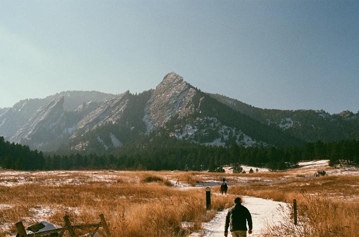 A person walks along a snowy path through a field of tall grass with mountains in the background.