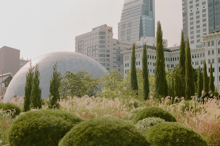 A large domed building is visible behind a garden with tall, slender trees and manicured bushes, with other city buildings in the background.