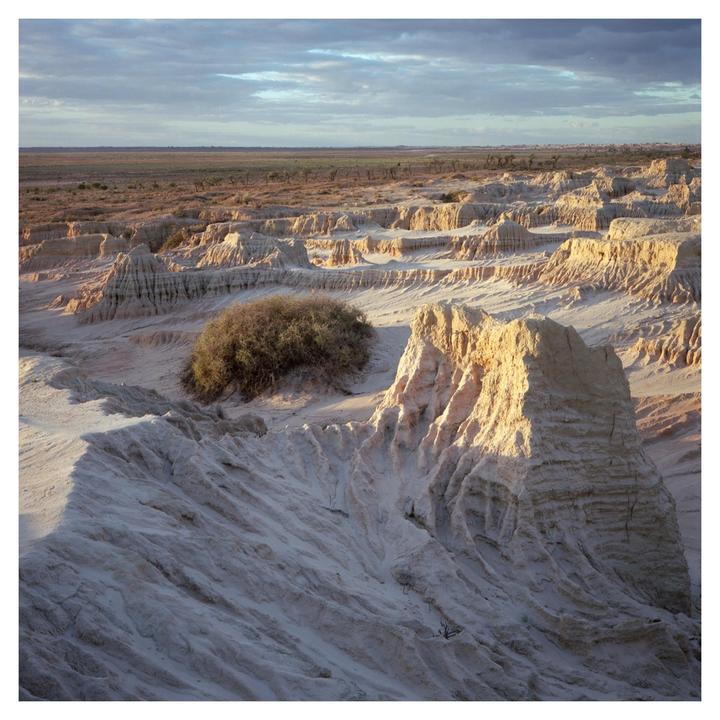 A vast desert landscape features eroded sand formations and a single bush under a cloudy sky.