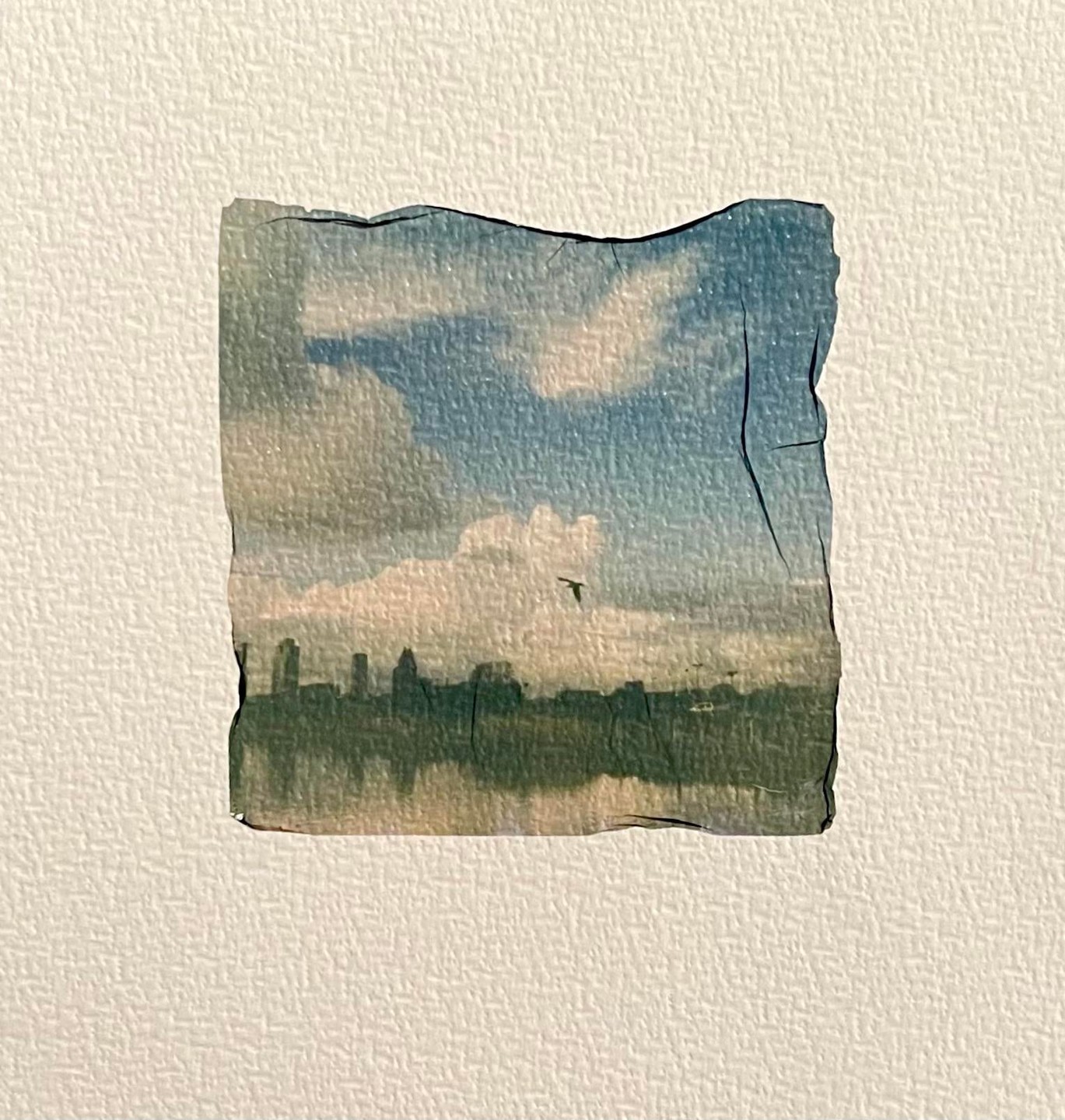 A small, torn emulsion lift shows a cityscape reflected in water under a cloudy sky with a bird flying.