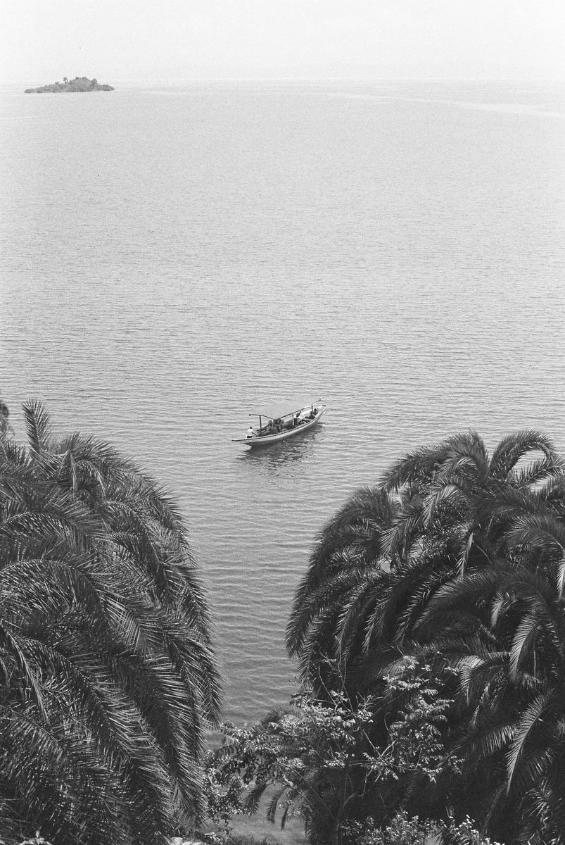 A small boat floats on the water between two palm trees, with an island visible in the distance.