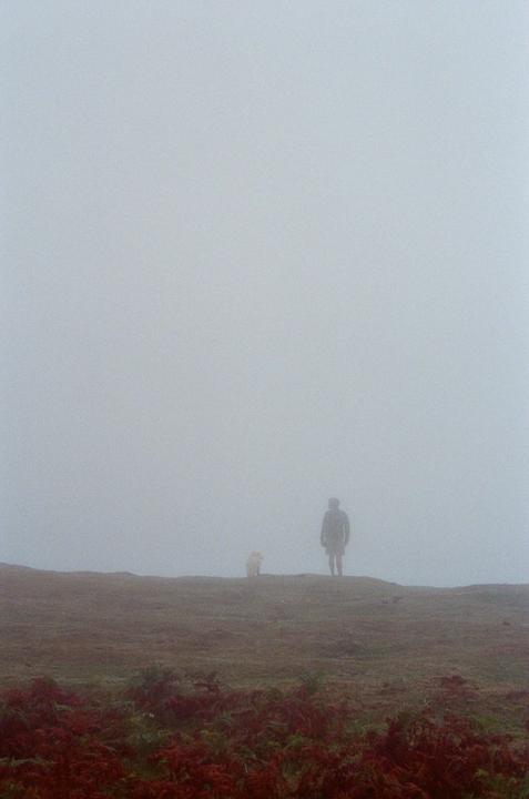 A person and a dog stand on a hill in a dense fog.