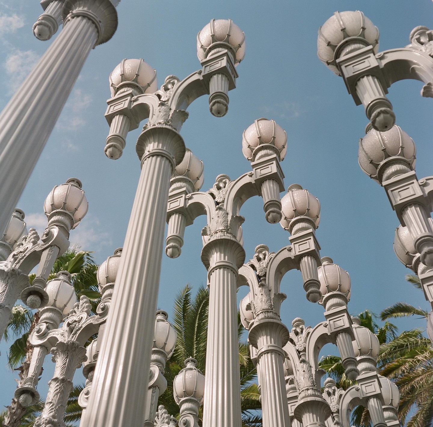 A low-angle view shows many ornate streetlights with palm trees and a blue sky in the background.