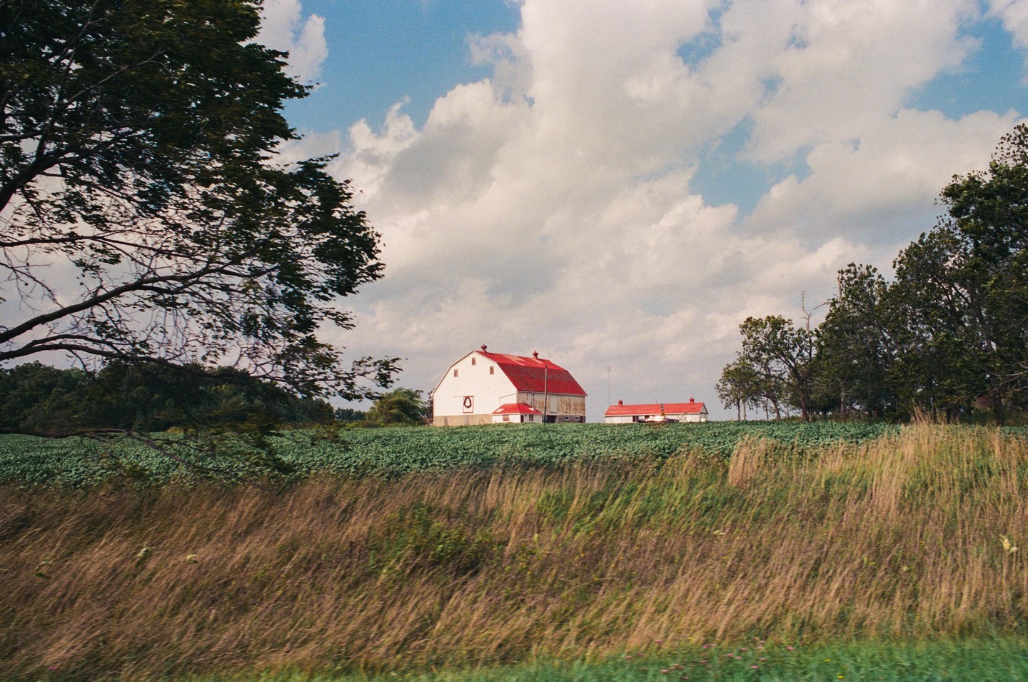 A white barn with a red roof stands in a field of green crops under a cloudy sky.