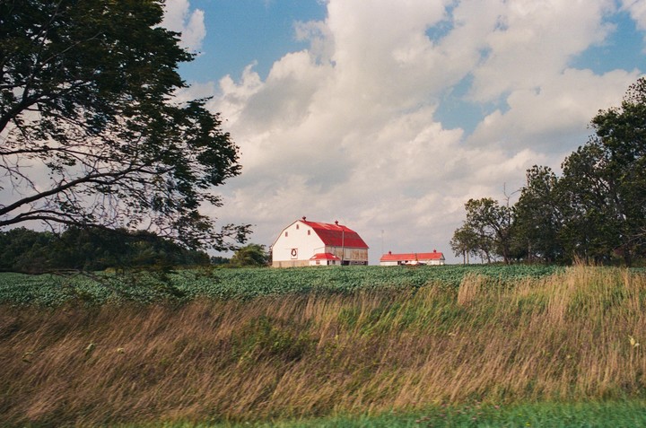 A white barn with a red roof stands in a field of green crops under a cloudy sky.